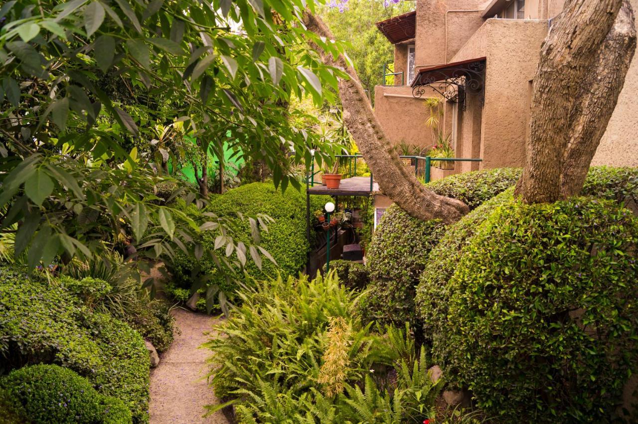 Suite 1-A Monasterio Garden House Welcome To San Angel Meksika Dış mekan fotoğraf