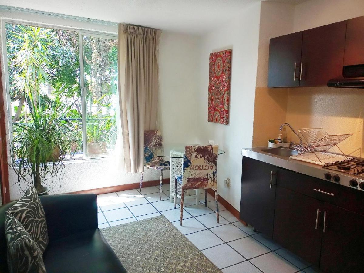 Suite 1-A Monasterio Garden House Welcome To San Angel Meksika Dış mekan fotoğraf